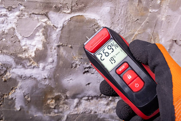 Best Basement Mold Remediation in Delano, CA